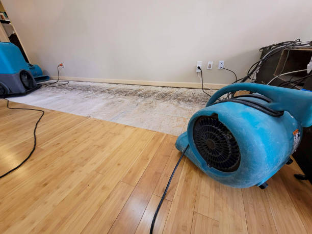 Professional Flood Damage Cleanup technician working in Ocoee, TN